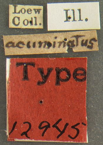Media type: image;   Entomology 12945 Aspect: labels
